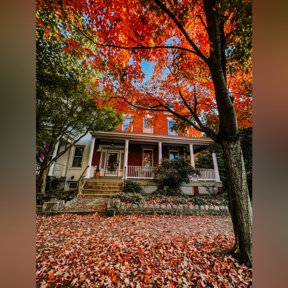 🤗 - Picture 14 of 17